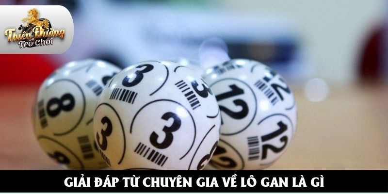 Giải đáp từ chuyên gia về lô gan là gì