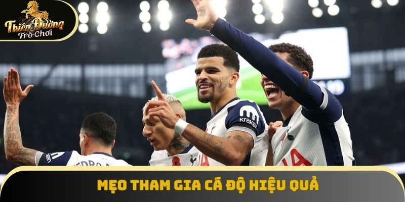 Mẹo đặt cược kèo hiệu quả
