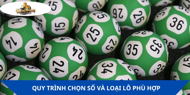 Quy trình chọn số và loại lô phù hợp