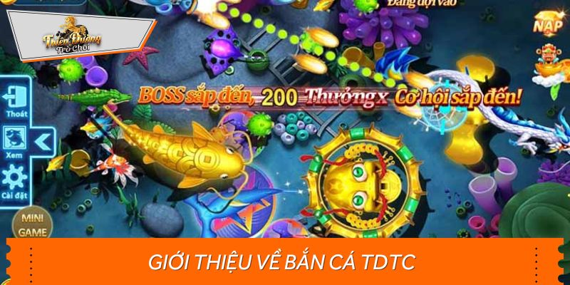 Sơ lược về sảnh bắn cá TDTC người chơi nên biết