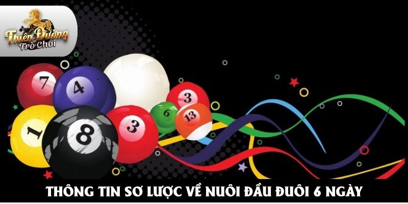 Thông tin sơ lược về nuôi đầu đuôi 6 ngày