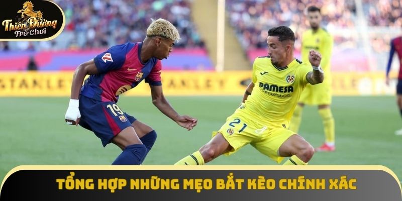 Tổng hợp những mẹo bắt kèo chính xác
